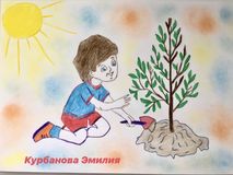 Курбанова Эмилия